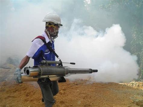 Pest Control Services - Smoke Pest Control Services Manufacturer from ...