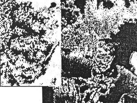 Downstage x Rat Race: KLONNS + Asbest Boys | VERA Downstage Extra ...