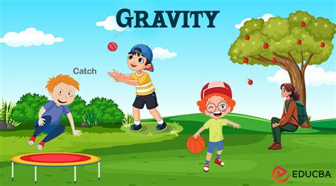 Image result for How Gravity Works