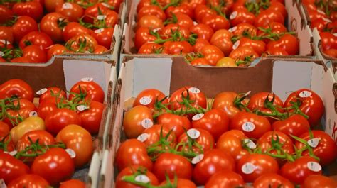 FRESHPOINT DALLAS - Dallas TX - Hours, Directions, Reviews - Loc8NearMe