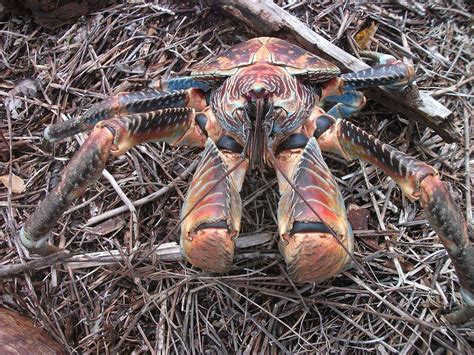 A5 PRIVATE TOURS (Updated 2026) All You Need to Know BEFORE You Go ...