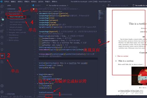 Latex Editing Tips VSCode 的图像结果