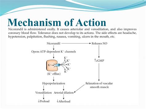 Anti-anginal drugs, pathophysiology, their mechanism of action and adverse effects | PPTX