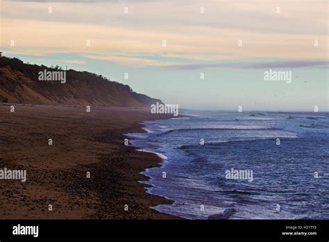 Cape Cod Beach 的图像结果