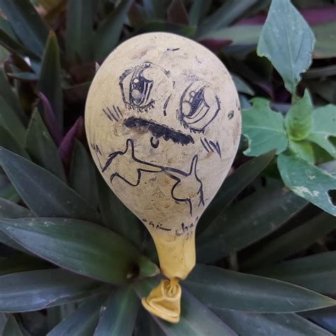 Why cant I post in r/houseplantcirclejerk ? : r/houseplantcirclejerks