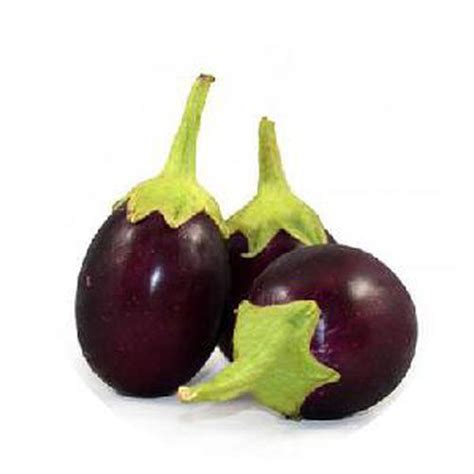 Buy Brinjal Kateri online from shops near you | LoveLocal
