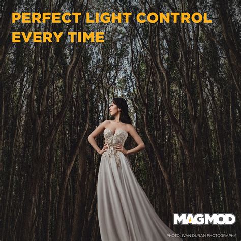 Image result for Flash Diffuser Mag Mod