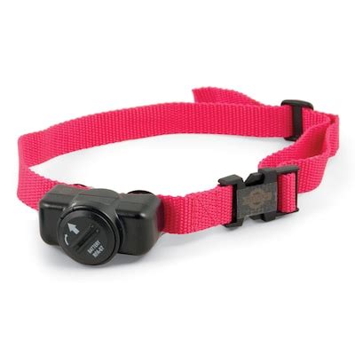 Pet Fence Receiver Collars at Lowes.com