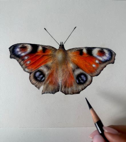 Image result for July Drawing Challenge