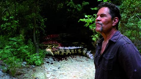 Mega Python vs Gatoroid 2011 Full Movie 的图像结果