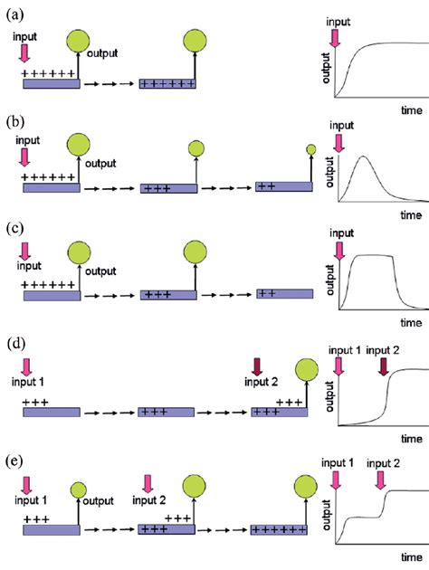 Memory Cell Types 的图像结果