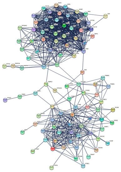 Immune-Related Protein Interaction Network in Severe COVID-19 Patients ...