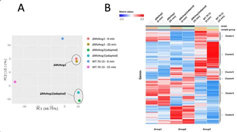 Image result for DESeq2 Visualization