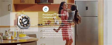 Buy Voltas Beko 275 Litre 2 Star Double Door Refrigerator, Celin Wine ...