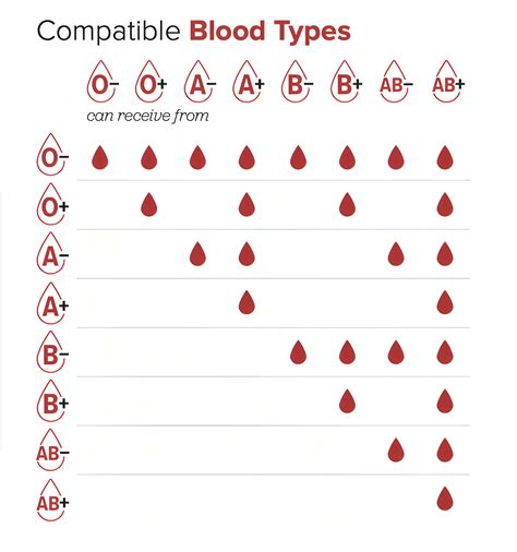 Free Printable Blood Donation Charts [Types Explained - A, B, AB And O]