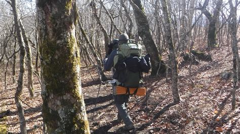 AT 2017: Training Hike, Carvers Gap to U.S. 19E | Hike with Gravity