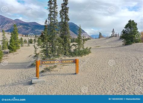 Carcross Desert sign stock photo. Image of cruise, beautiful - 160404382