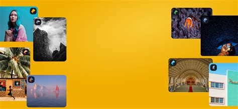 Image result for 2020 DxO Tutorials