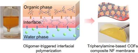 Interfacial Polymerization Process 的图像结果