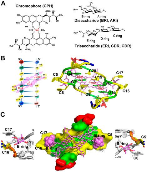 CoII(Chromomycin)2 Complex Induces a Conformational Change of CCG ...