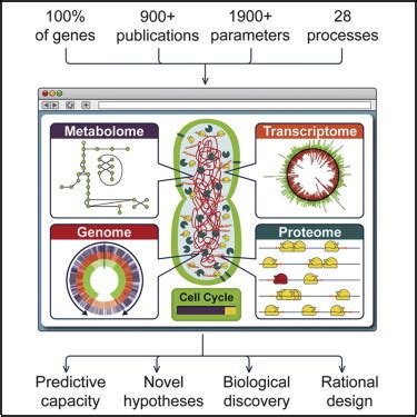 Image result for Cell Sorting Computational Model