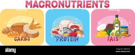 Image result for Macronutrients Basic Structure