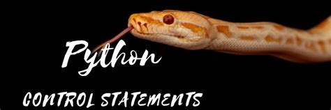 Image result for Control Statements in Python with Examples