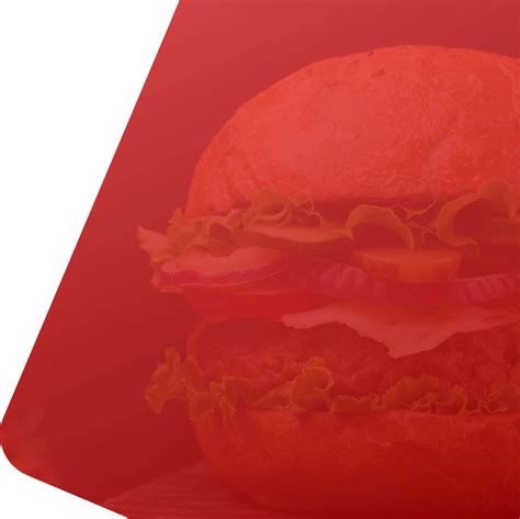 Ecanteen - Delicious Fast Food in Noida | Burgers, Wraps, Shakes & More