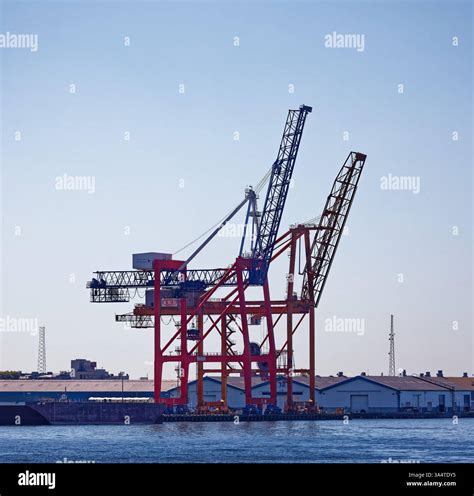 Gantry cranes stand guard at Red Hook Container Terminal on Buttermilk ...