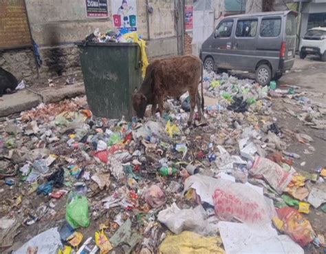 Sweepers' strike cause hygiene havoc in Jammu-Kashmir's Doda