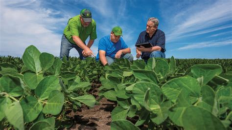 How Agronomic Practices Improve Crop Production | MachineFinder