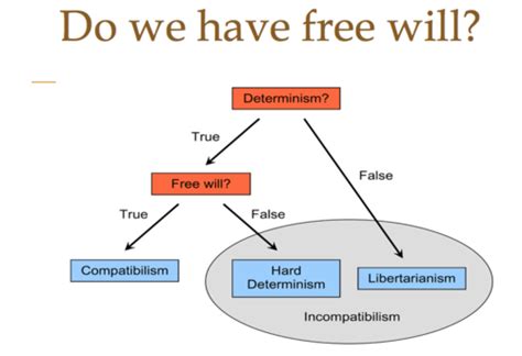 Free Will 的图像结果