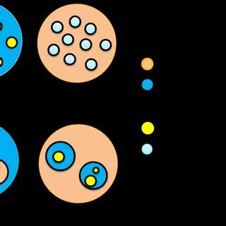 Image result for Emulsion Types