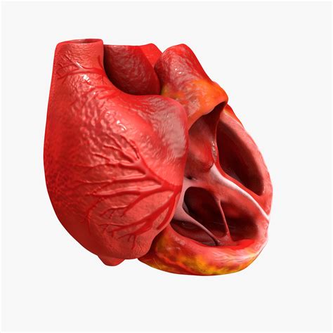 Image result for Heart Emoji Python Code
