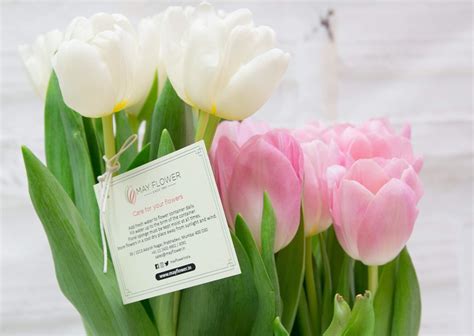 Why you should choose Mayflower Florist for Sending Best Birthday Flow ...