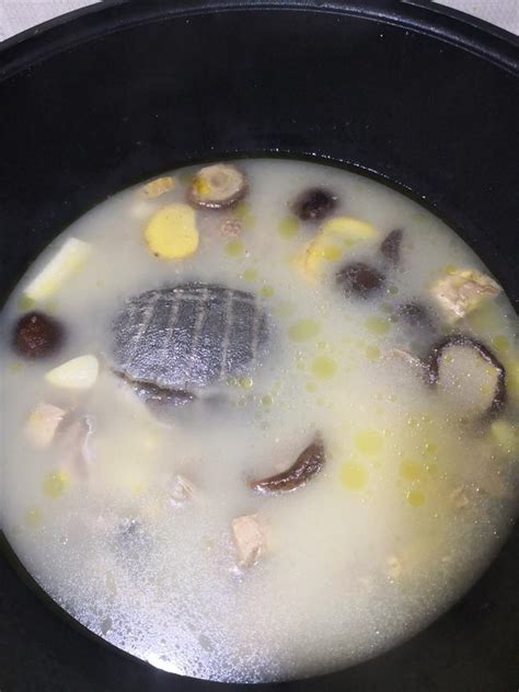 【清炖甲鱼汤的做法步骤图，清炖甲鱼汤怎么做好吃】白菜心里的虫_下厨房