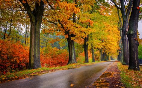 Image result for Autumn Homework EYFS