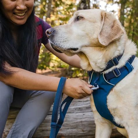 Ruffwear Front Range Padded Dog Harness Blue Moon | Zigly