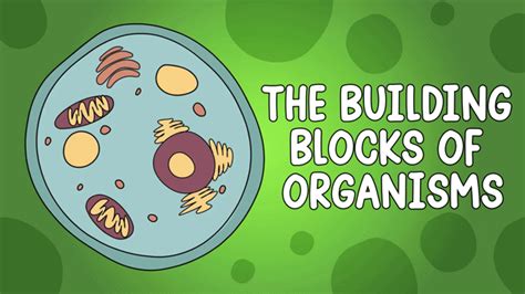 Tutorials for Cells 的图像结果