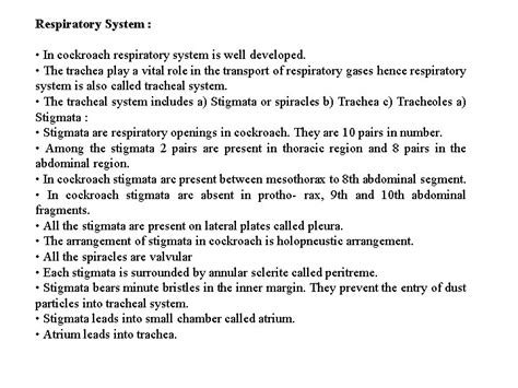 Cockroach Respiratory System 的图像结果