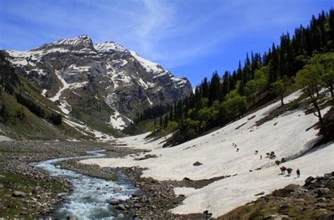 Book Amazing Manali Honeymoon Package - 3 Nights / 4 Days Tour Packages