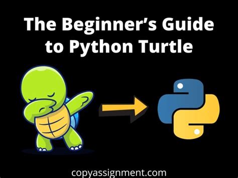 Image result for Python Tutorial for Beginners' Turtle