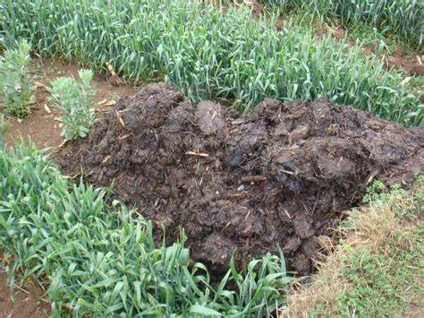 农家肥 的图像结果