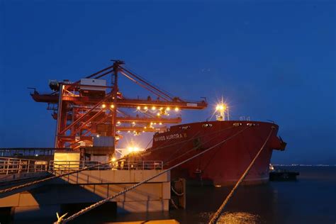 舟山港域货物吞吐量、作业能力实现“双突破”_信德海事网-专业海事信息咨询服务平台