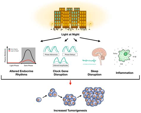Light Pollution and Cancer