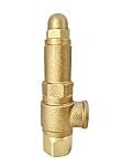 Pressure Relief Valves | RS
