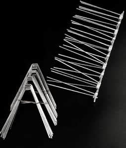 PlastKart (Pack of 10) Stainless Steel Spikes, Spikes for Bird & Pigeon ...