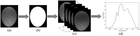 Development of Simplified Models for Non-Destructive Hyperspectral ...
