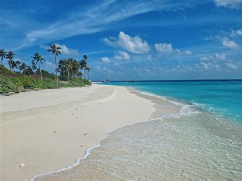 tesoro in Spanish: Meaning, Usage and Examples | SpanishStep