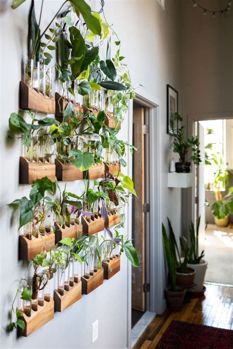 Plants on wall indoor – Artofit